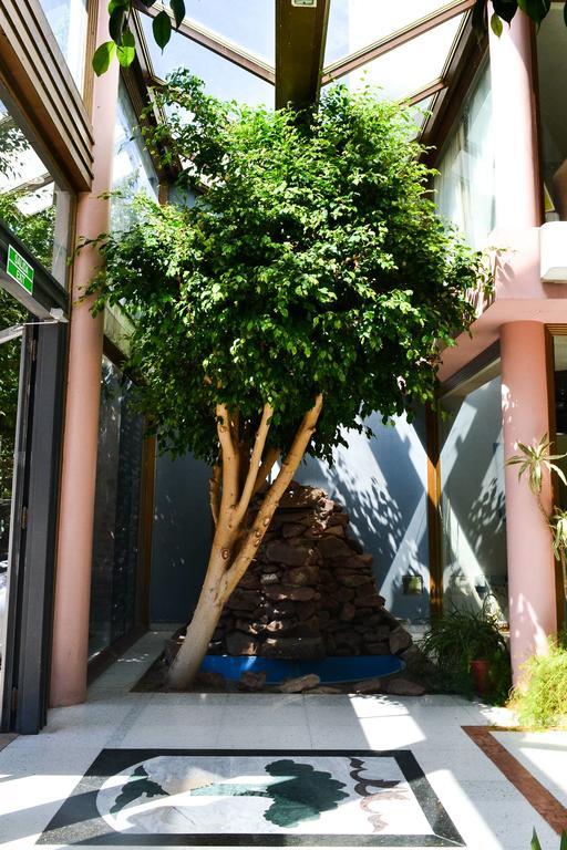 Argenta Apart Hotel Трелью Екстер'єр фото